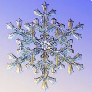 ❄accepting  offers❄